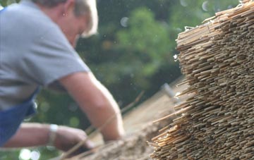 professional Blaenwaun thatchers