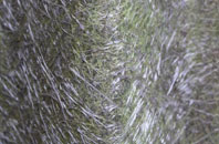 Blaenwaun fibreglass roof work